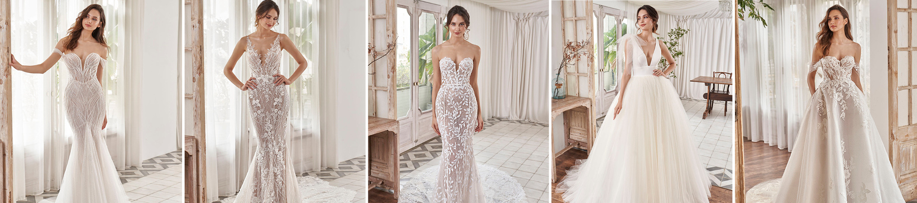 INTRODUCTIE PEN·LIV